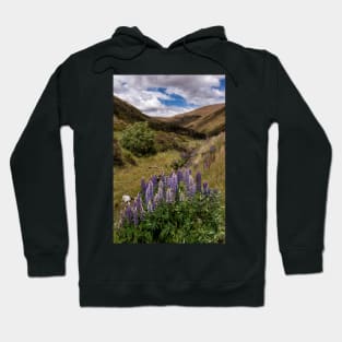 A Crown of Lupins Hoodie